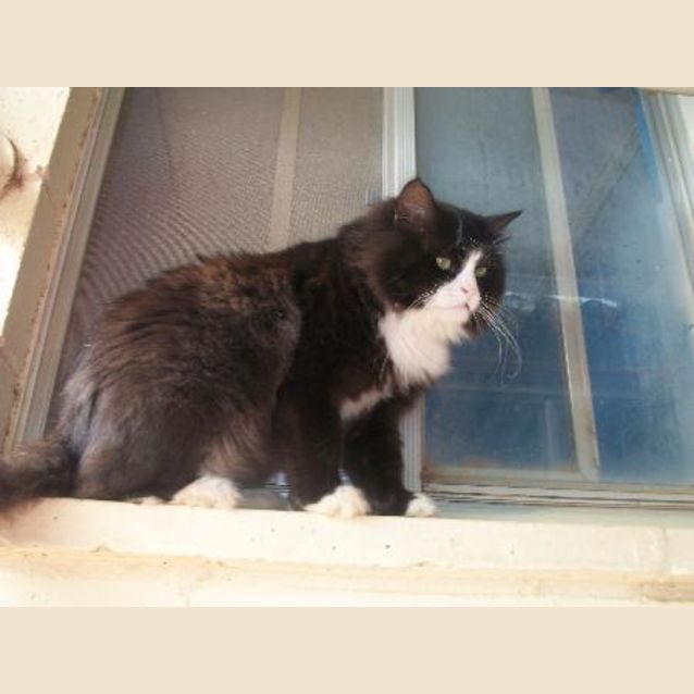 Photo of Big Poppa