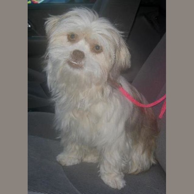 Photo of Lilli