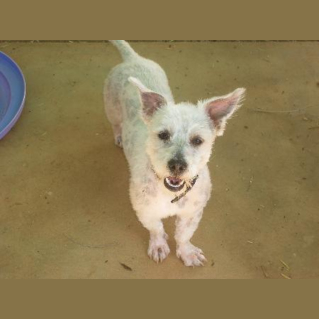 Photo of William Urgent