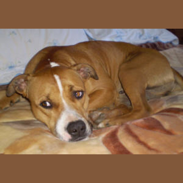 Photo of Buster Is Trying A New Home!!