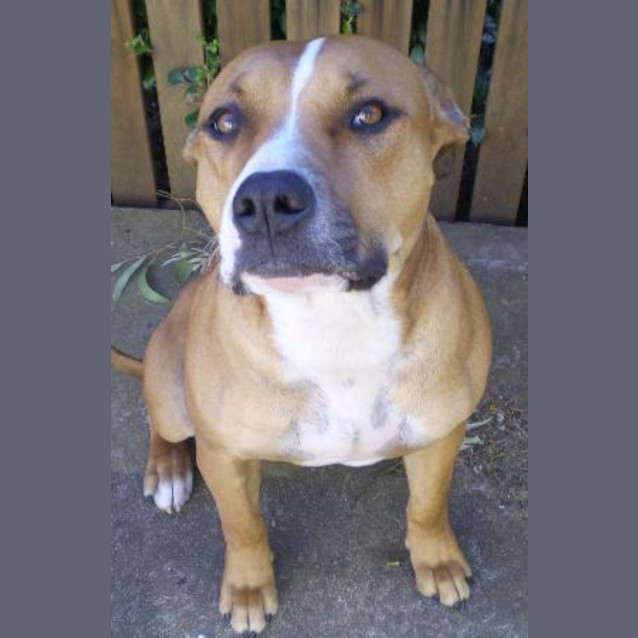 Photo of Buster Is Trying A New Home!!