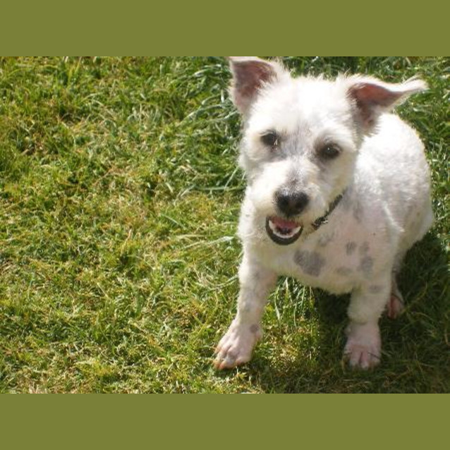 Photo of William Urgent