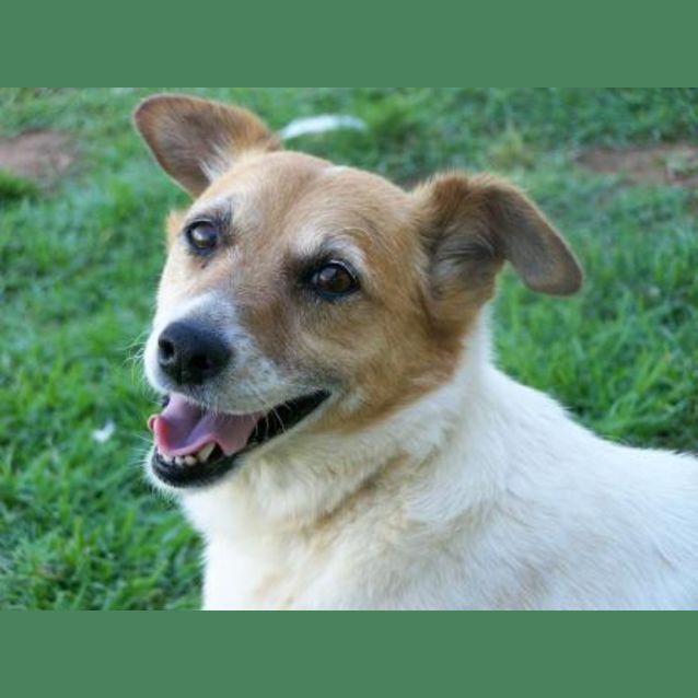 Photo of Jesse And Marty On Hold