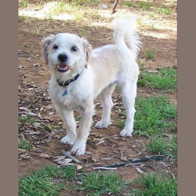 Photo of Jesse And Marty On Hold