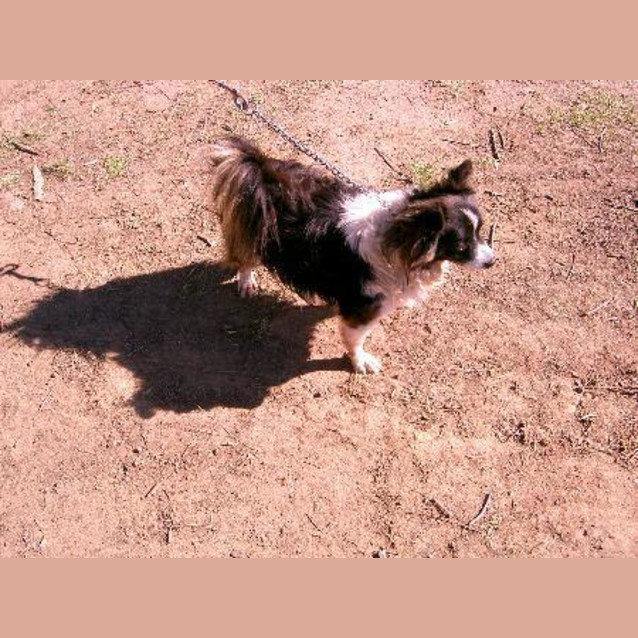 Photo of Jasper