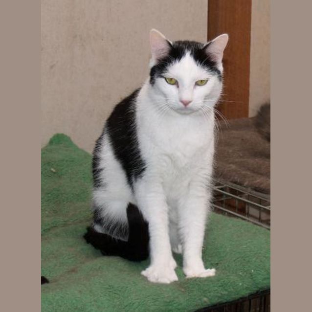 Photo of Simon