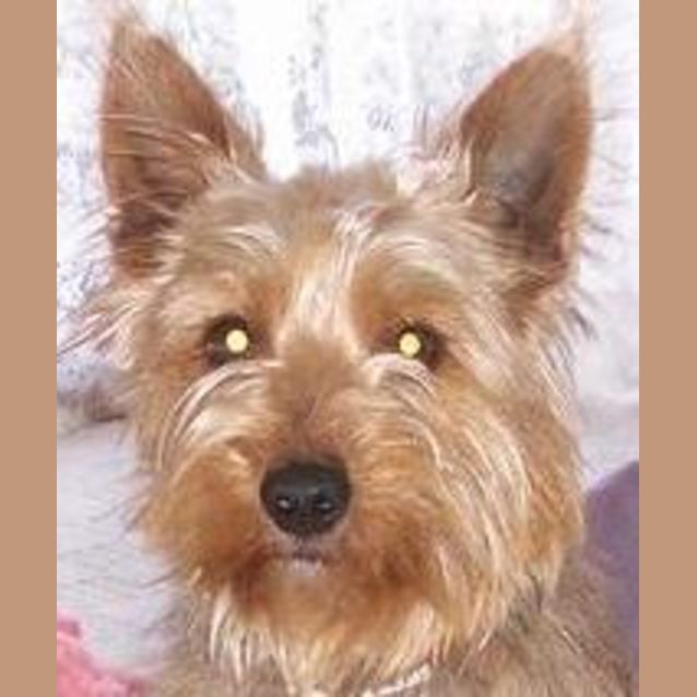Photo of Edgar