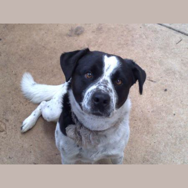 Photo of ** On Trial** Raja