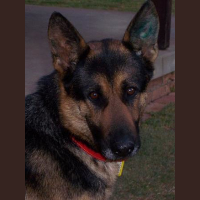 Photo of Jazzi   On Trial With Her New Family