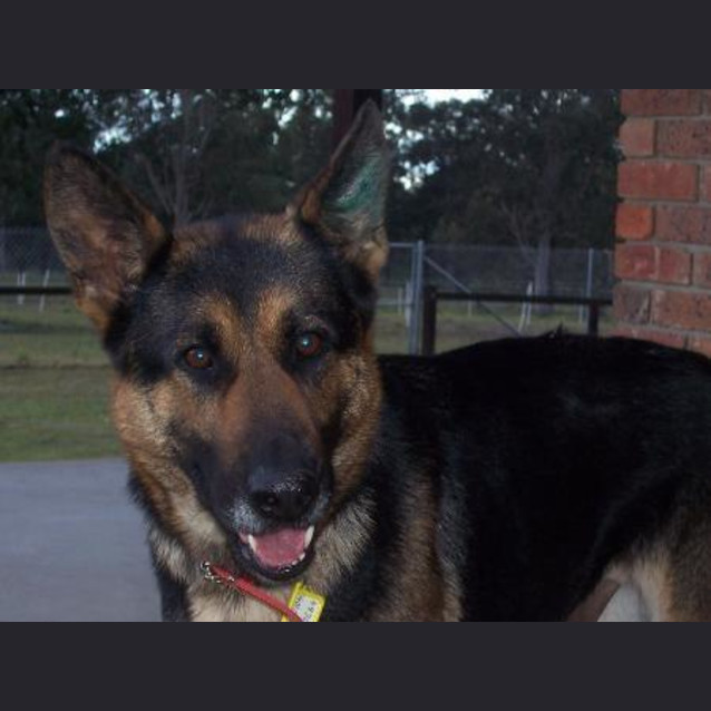 Photo of Jazzi   On Trial With Her New Family