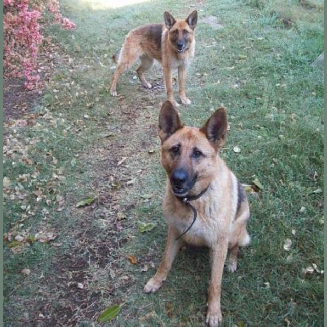 Photo of Dina & Vedda