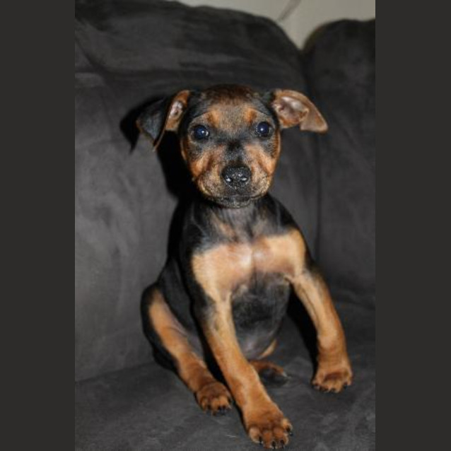 Photo of Tia