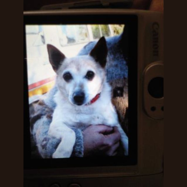 Photo of Jack
