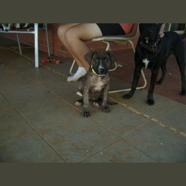 Photo of Xena