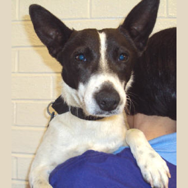 Photo of Rascal