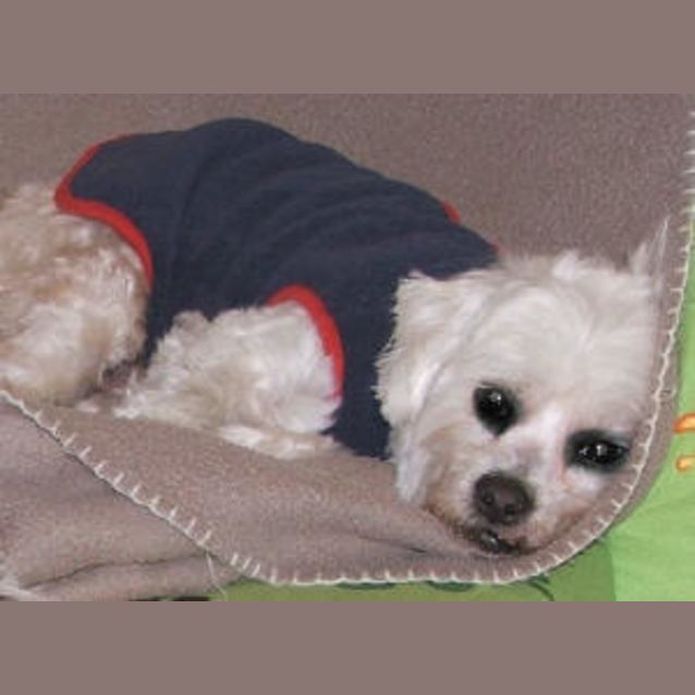 Photo of Tosca