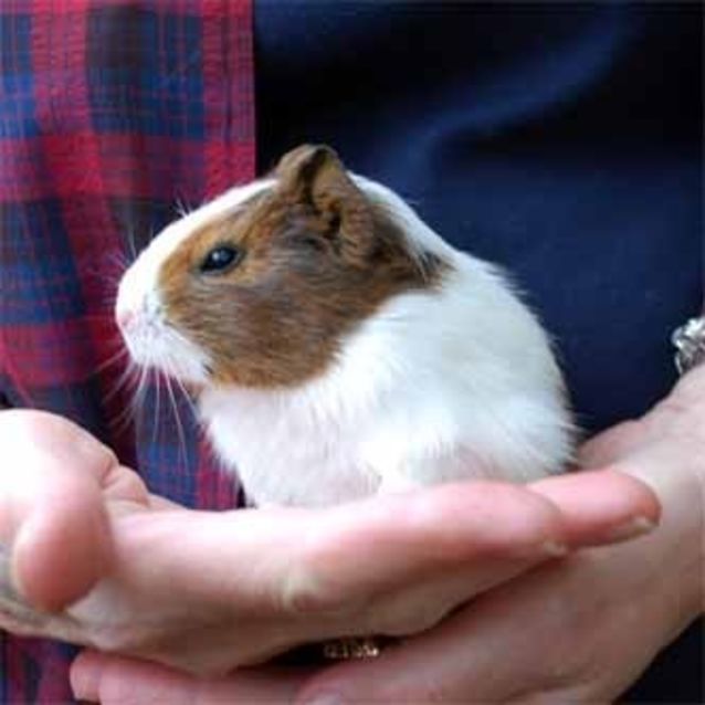 Photo of Munch