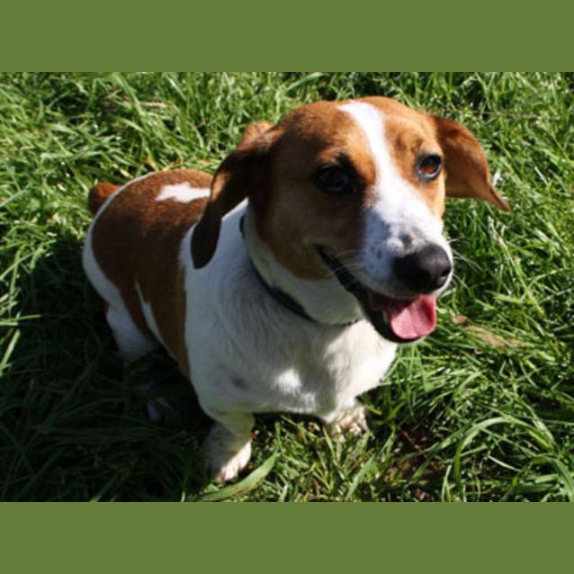 Photo of Lulu