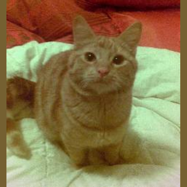 Photo of Herachio