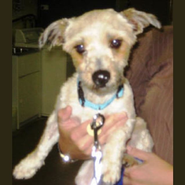 Photo of Rumba