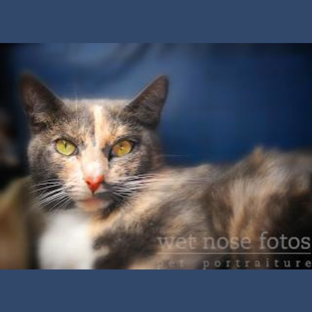 Photo of Sophie