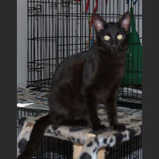 Photo of Blake