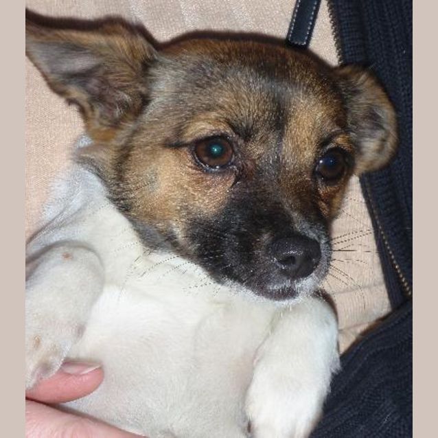 Photo of Pippy