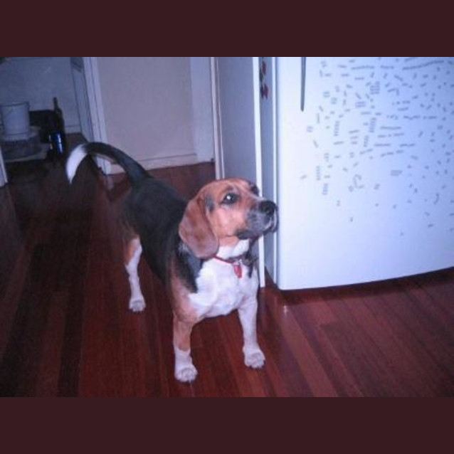 Photo of Milly (On Trial)