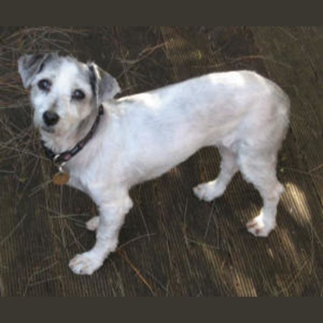 Photo of Perla