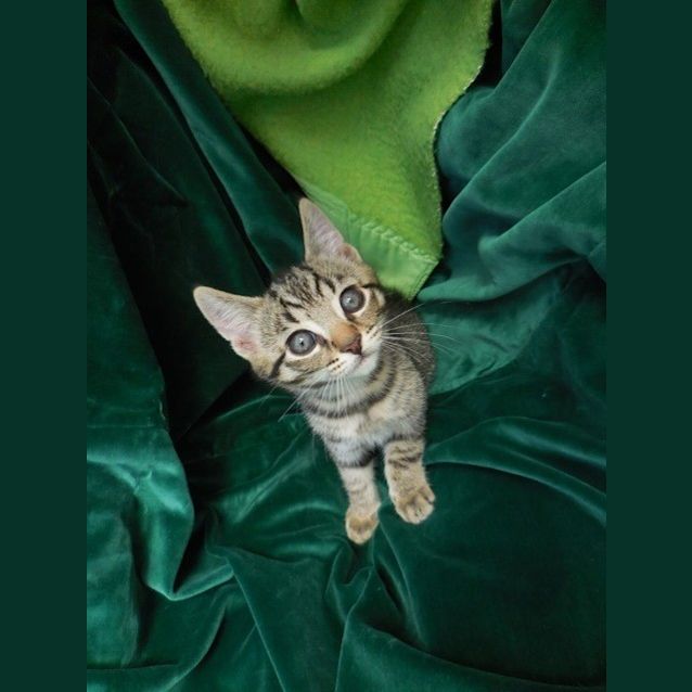 Photo of Alexander Ec0171