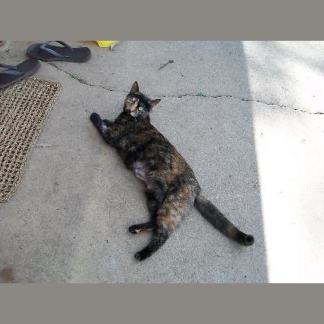 Photo of Narla