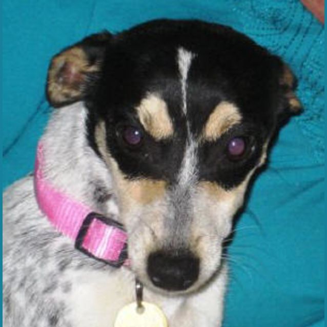 Photo of Maddison