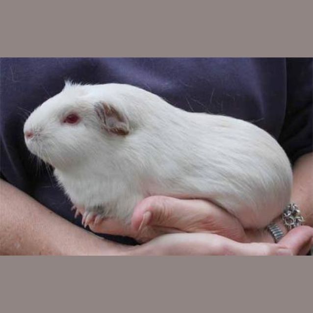 Photo of Crystal
