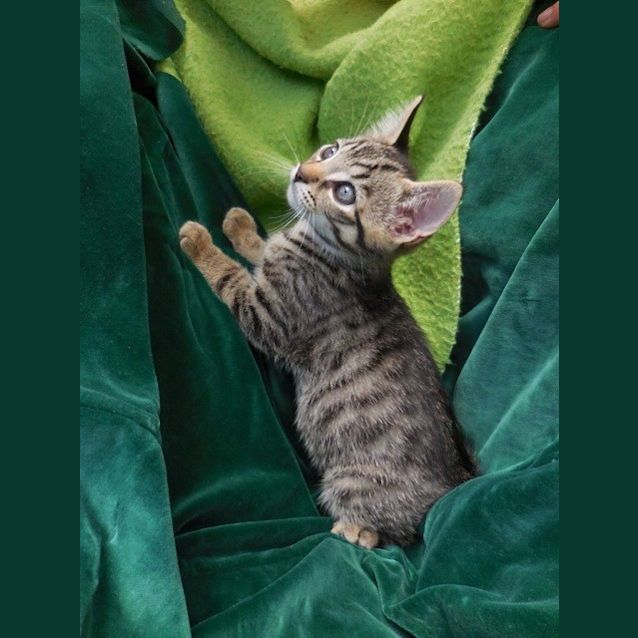 Photo of Alexander Ec0171