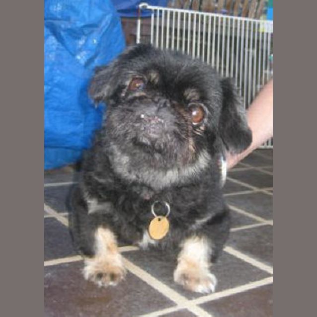Photo of Oprah