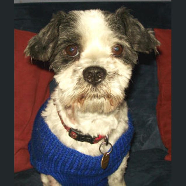 Photo of Murphy