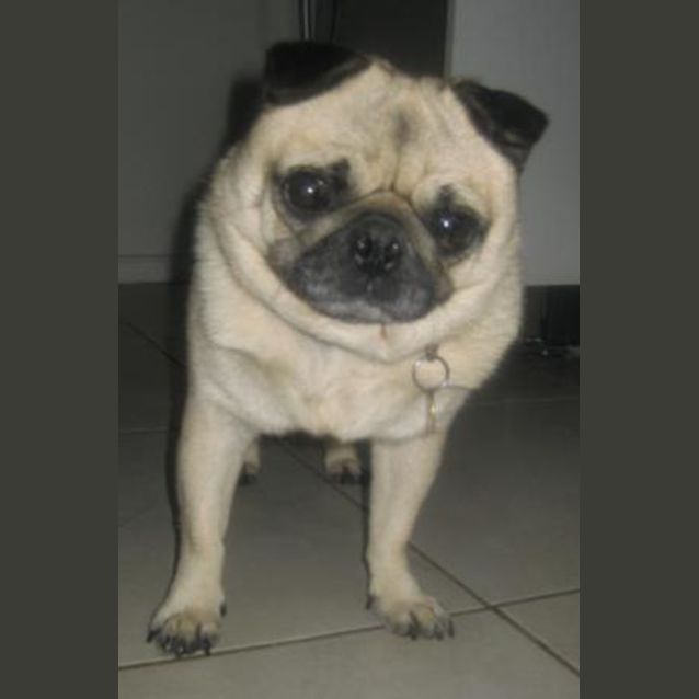 Photo of Bruce