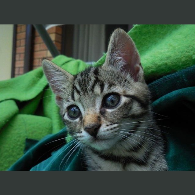 Photo of Alexander Ec0171