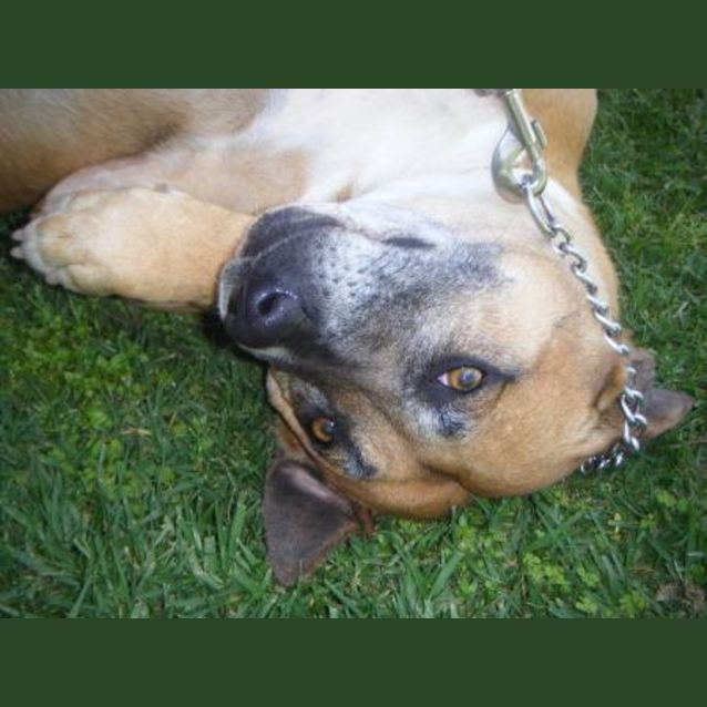 Photo of Redena