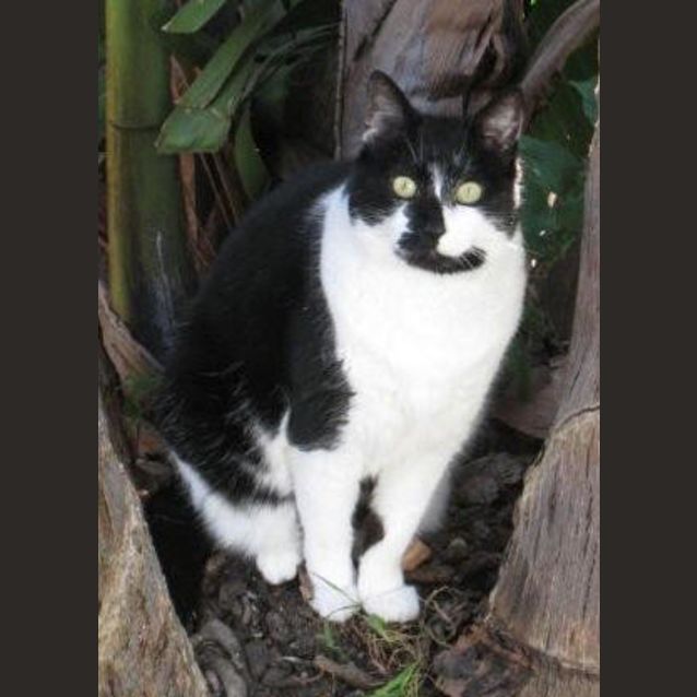 Photo of Meisha