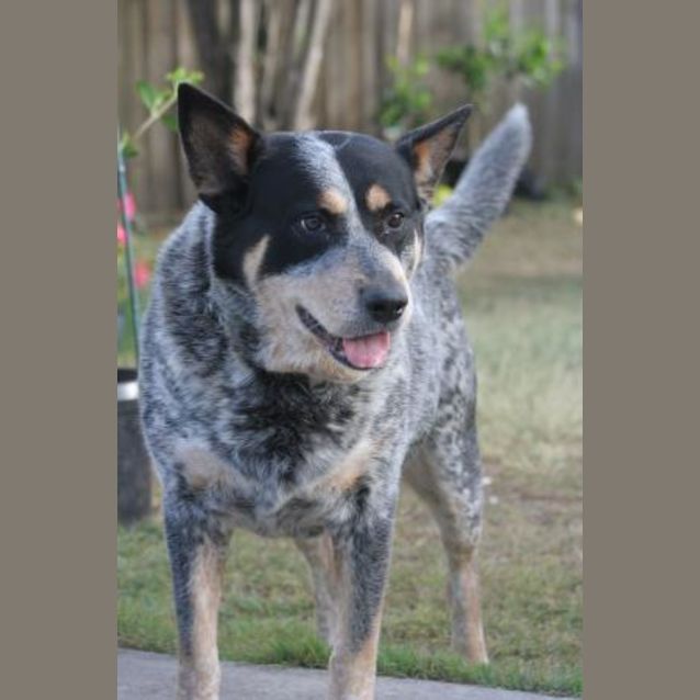 Photo of Jack
