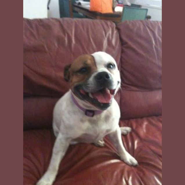 Photo of Benny