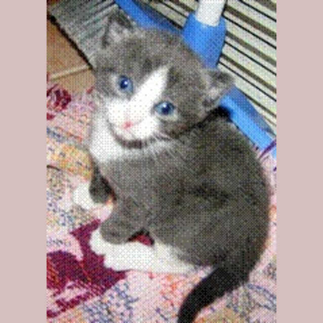 Photo of Smoky Joe