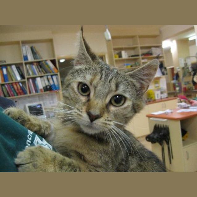 Photo of Tabitha