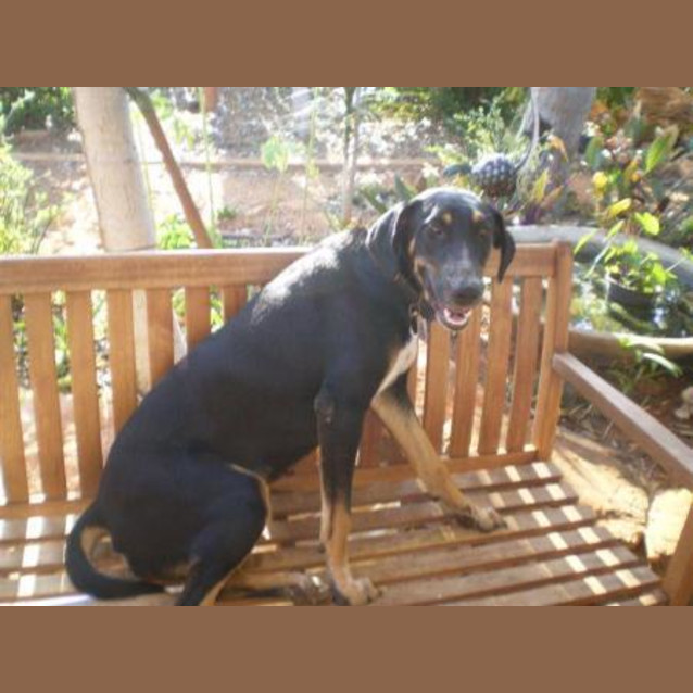 Photo of Lucy