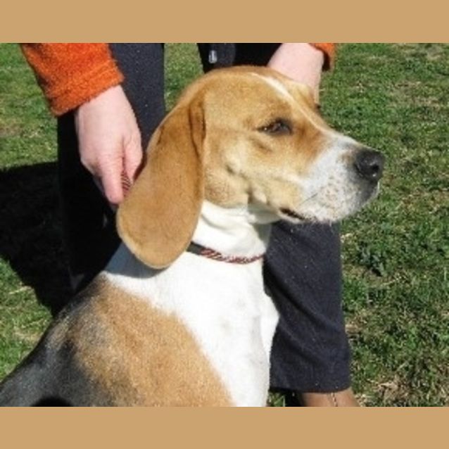 Photo of Sally (On Trial)