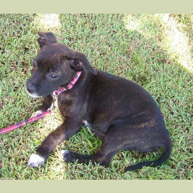 Photo of Xena