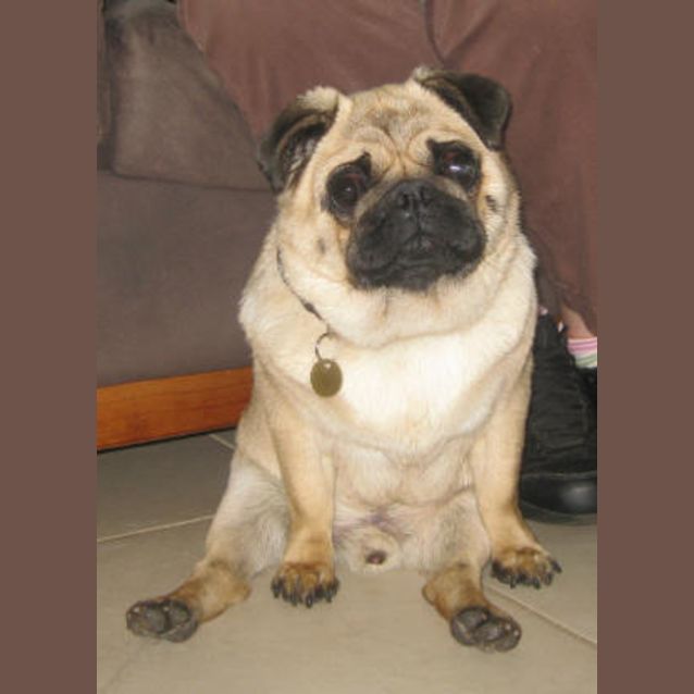 Photo of Sammie
