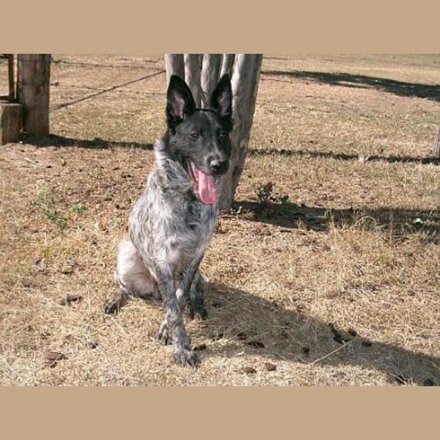 Photo of Fred