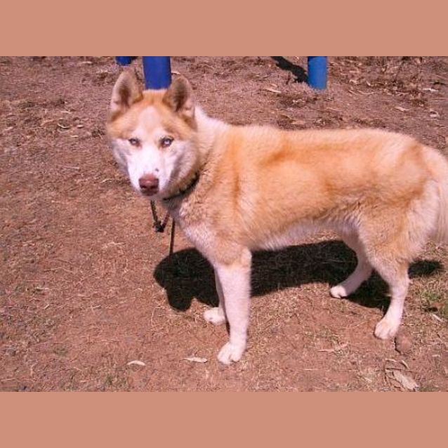 Photo of Luca